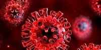 خبر بد درباره کرونا/  به DNA انسانی آسیب می زند