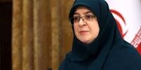 نشست خبری سخنگوی دولت در مکان متفاوت + عکس