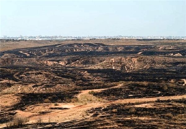 آتش بادبادک‌های فلسطینی در مزارع اسرائیل