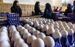 افزایش شدید قیمت تخم مرغ/ هر شانه تخم‌مرغ به 800 هزار تومان رسید