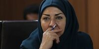 ادعای جدید کرمی قدوسی درباره سفیر ایران در فنلاند