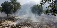 دستگیری ۲۴ نفر از عاملان آتش سوزی جنگل‌های کهگیلویه و بویراحمد