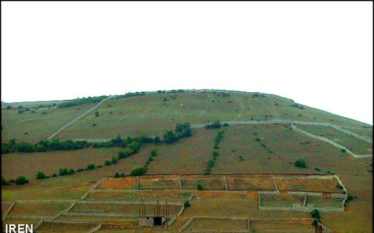 مقایسه نحوه مصرف زمین‌های دولتی در ایران و جهان + جدول