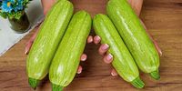 علت مسمومیت با کدو سبز چیست؟