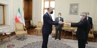 سفرای چهار کشور رونوشت استوارنامه خود را تقدیم امیرعبداللهیان کردند
