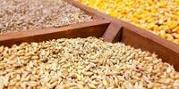 قیمت نهاده های دامی تغییر کرد +جدول
