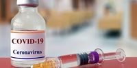 اعلام زمان استفاده از واکسن کرونا به بازار توسط سازمان جهانی بهداشت
