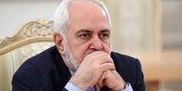 افشای سخنان جنجالی محمد جواد ظریف/ ماجرای زندانی بودن پسر میرسلیم چیست؟
