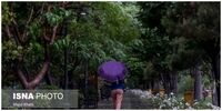 پیش بینی هواشناسی تهران/ سامانه بارشی جدید در راه است