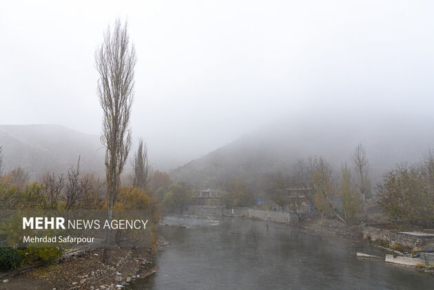 3961414_MSD_8593136