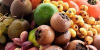 خواص فوق‌العاده پنج میوه پاییزی