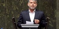 قول مهم وزیر پیشنهادی جهاد کشاورزی به کشاورزان