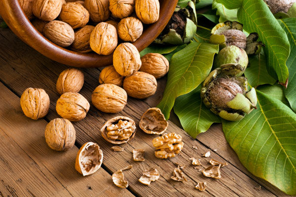 خواص شگفت انگیز گردو
