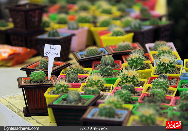 گزارش تصویری آخرین روز نمایشگاه گل‌وگیاه تهران