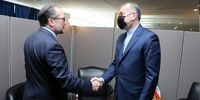 دیدار امیرعبداللهیان با وزیر خارجه اتریش در نیویورک