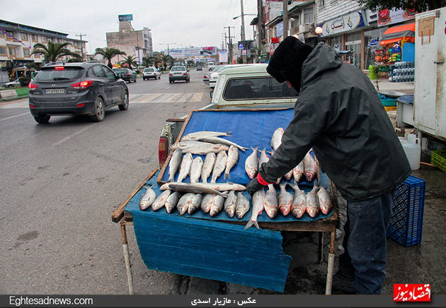 لحظه به لحظه نبرد با دریا برای یک لقمه نان + گزارش تصویری