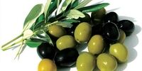 با خوردن روغن زیتون صبح خود را آغاز کنید

