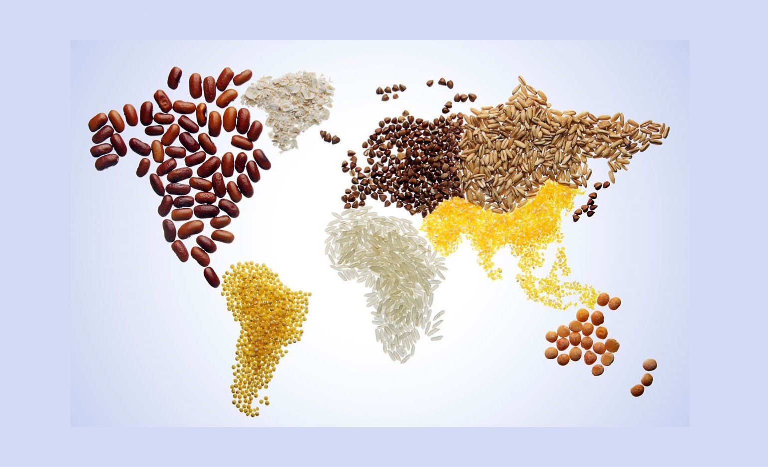 کاهش قیمت جهانی مواد غذایی / رشد قیمت برنج و گوشت برخلاف روند عمومی