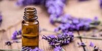 تاثیر معجزه‌آسای این گیاه در تسکین درد