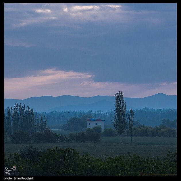 image13