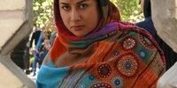 خبرنگار اقتصادنیوز برنده جایزه تهران شد