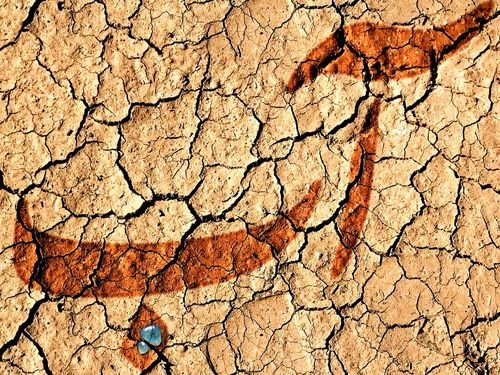 تلاش یک جریان خطرناک برای جلوگیری از اخراج اتباع غیرمجاز/ کاهش جمعیت مهاجران افغان چه قدر به صرفه‌جویی در مصرف آب کمک می کند؟