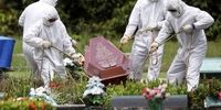 واکسن کرونای «فایزر» و «مدرنا» 501 کشته دادند