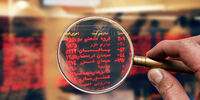 جزییات جدیدترین افزایش سرمایه ها/ 14 خبر مهم از بورسی ها