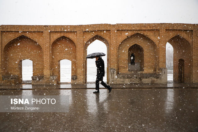 61540557_morteza-zanganeh-1809