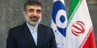 کمالوندی: آژانس تحت نفوذ قدرت‌های بزرگ است