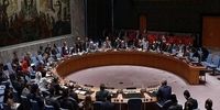 برگزاری نشست اضطراری شورای امنیت به درخواست اوکراین
