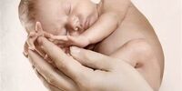تکذیب تاثیر کرونا بر زایمان زودرس و مرده‌زایی