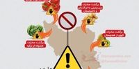 کدام محصول‌های کشاورزی ایران دیپورت شد