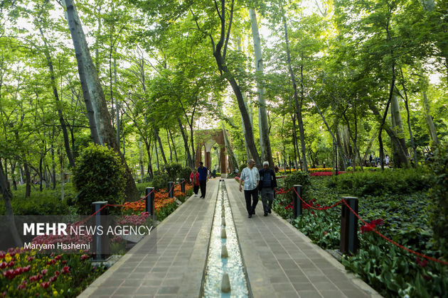 باغ لاله ایرانی
