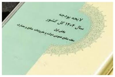 هیات عالی نظارت مغایرت‌های لایحه بودجه ۱۴۰۴ را بررسی کرد