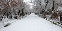 بارش برف و باران در جاده‌های 16 استان