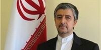 مرگ یک خلبان ایرانی در آفریقای جنوبی/ سفیر ایران واکنش نشان داد