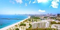 جا دارد به ادعاهای اخیر عبدالملکی خون گریه کنیم/ می خواهند کیش را قلع و قمع کنند