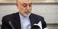 علی اکبر صالحی: خروج از ان پی تی یک تهدید است/ ائمه جمعه از ما حلالیت طلبیدند 