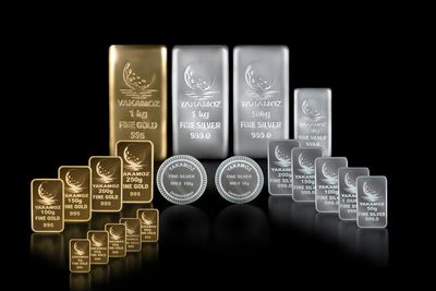 چالش‌ خرید نقره در ایران | پارسانژاد: نقره دارایی «ریسکی» است زیرا... | خرید نقره از بورس کالا مسیر امن‌تری است