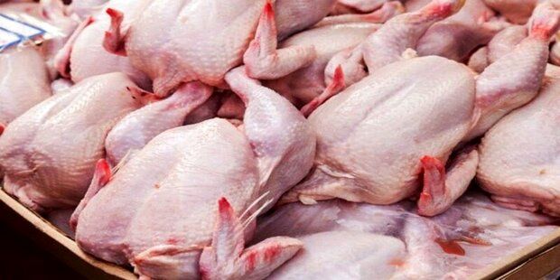 قیمت مرغ گرم  پایین‌تر از نرخ مصوب