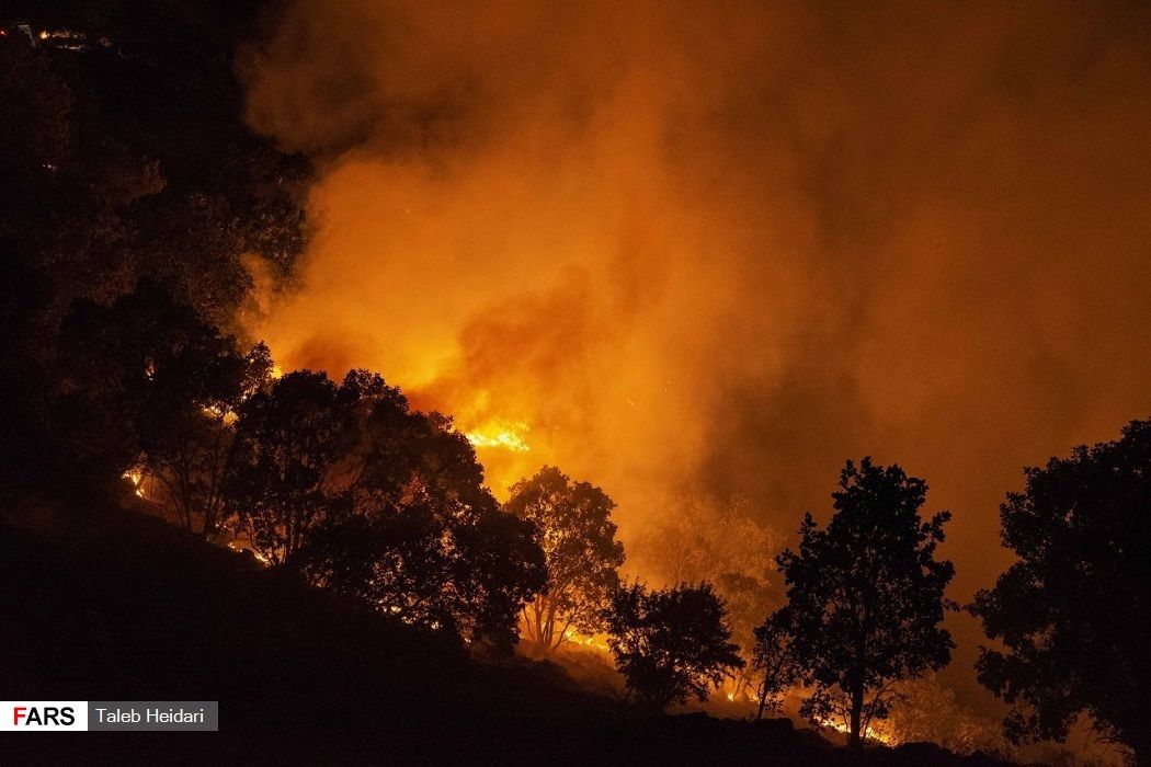 گزارش تصویری آتش سوزی جنگل‌های پاوه