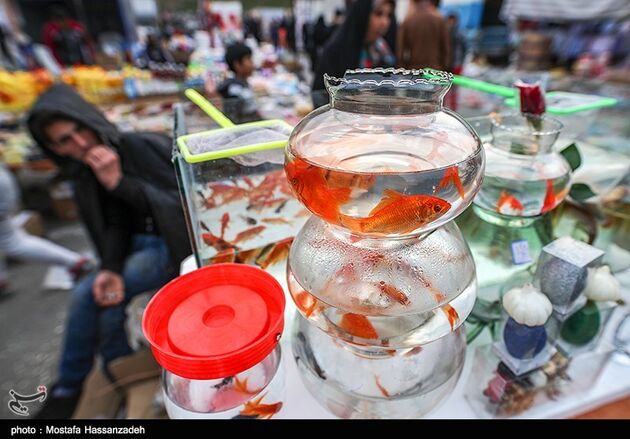 به پیشواز نوروز