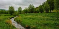 تصاویر| اینجا ایران است، طبیعت زیبای ارسباران