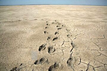 زنگ خطر خشکی خلیج گرگان به صدا درآمد 