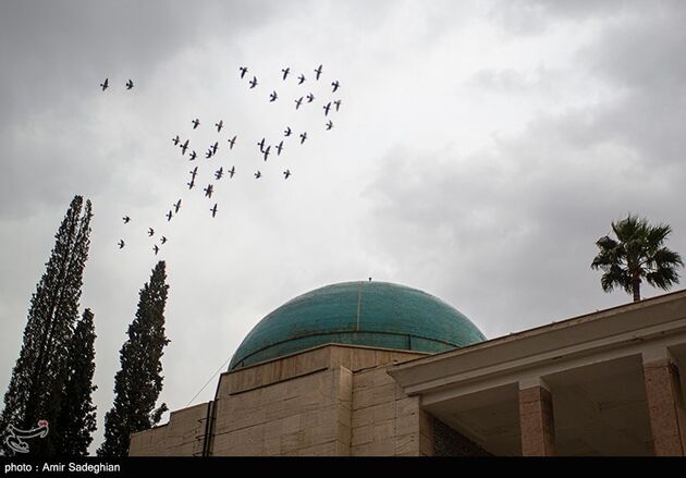 image10