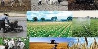 قیمت خرید تضمینی محصولات کشاورزی برای سال زراعی آینده 