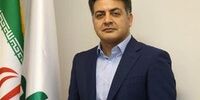 توانمندسازی شرکت‌های ایرانی ضرورت اقتصاد مقاومتی
