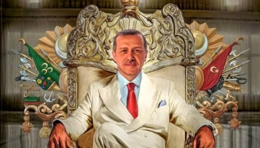 شادی هوادان اردوغان آغاز شد(عکس)