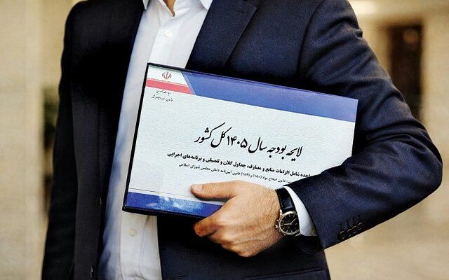 سخنگوی دولت: ۱۳۶ ردیف بودجه‌ای مورد بازبینی قرار گرفته و ۷۰ ردیف اعتباری حذف شده است+ فیلم